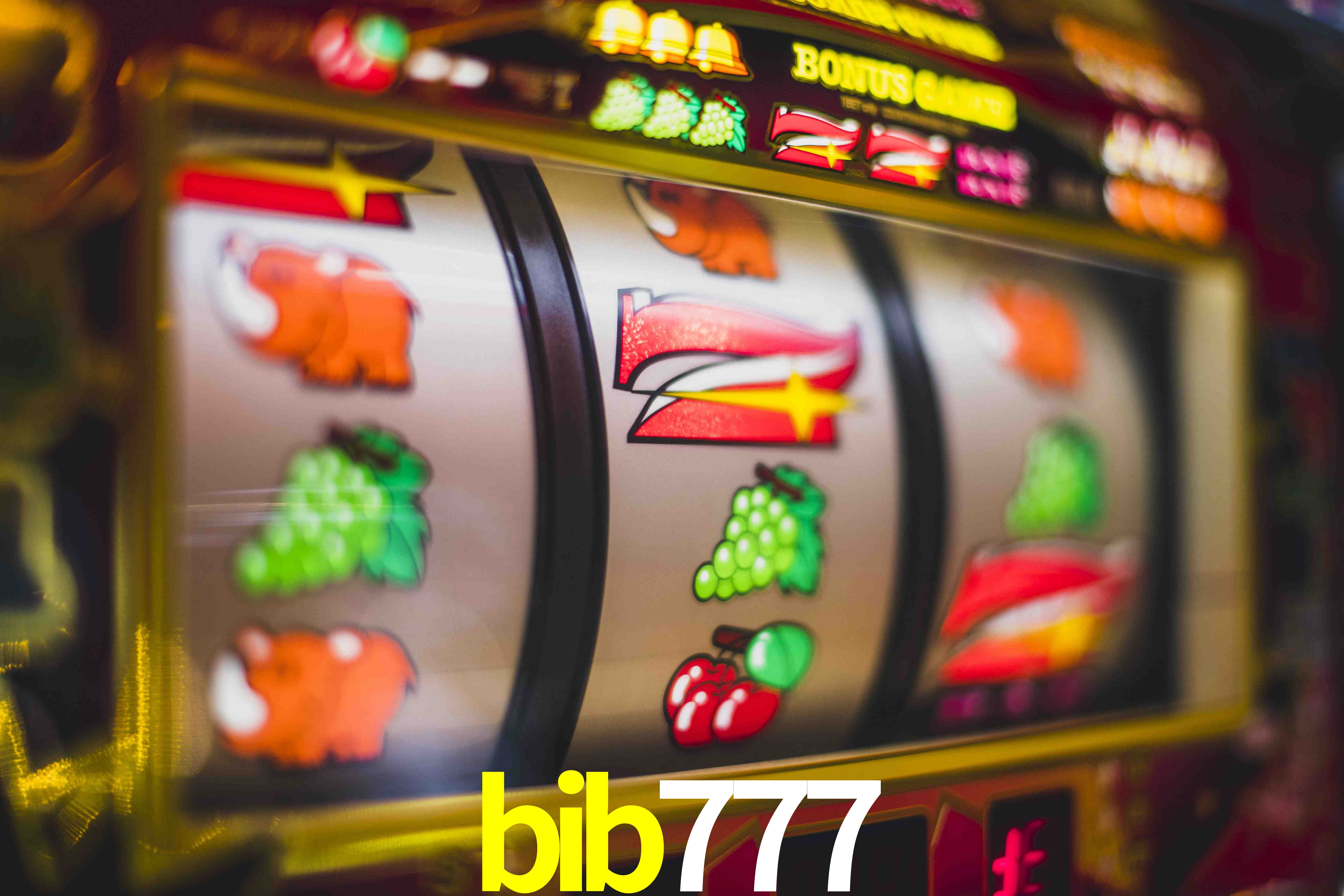 Account Benefits bib777